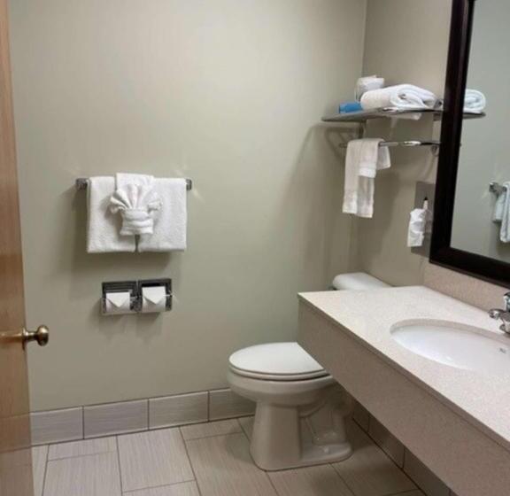 فندق Best Western Inn