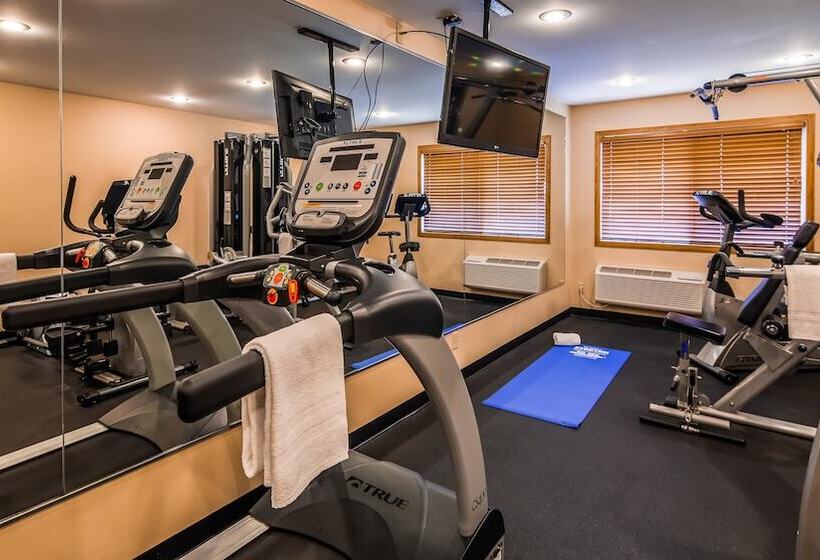 فندق Best Western Inn