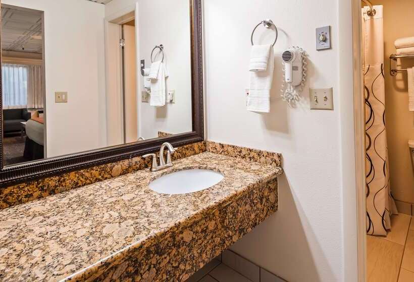 酒店 Best Western Inn Tooele