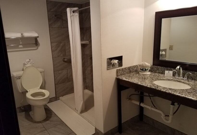 Best Western Innsuites Tucson Foothills Hotel & Suites