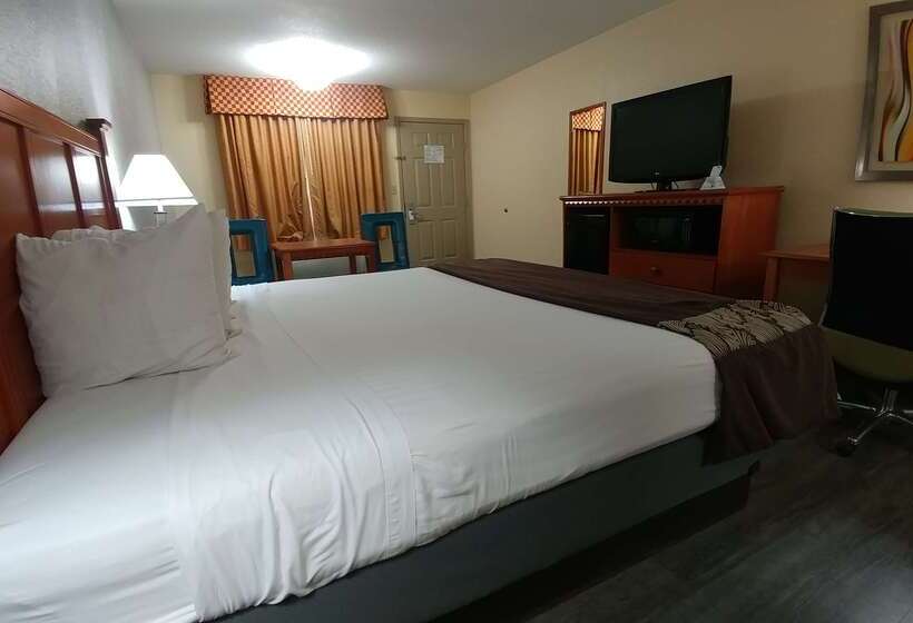 فندق Best Western Jacksonville Inn