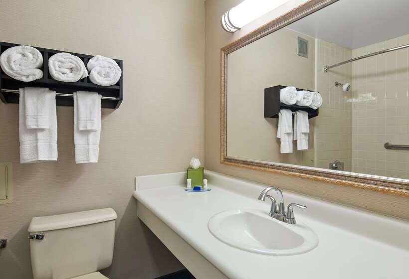 酒店 Best Western Leesburg