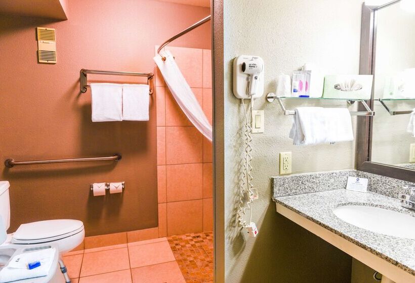 בית מלון כפרי Best Western Mccarran Inn