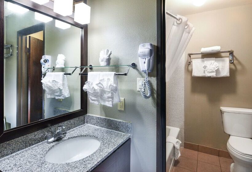 בית מלון כפרי Best Western Mccarran Inn