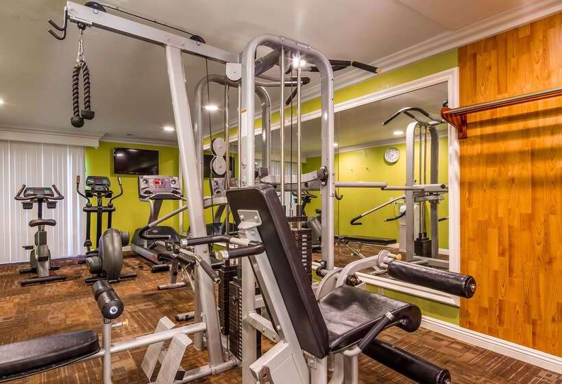 Best Western Moreno Hotel & Suites