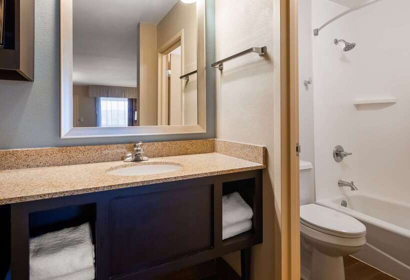 فندق Best Western Newport Inn