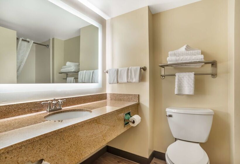 Отель Best Western Oak Manor