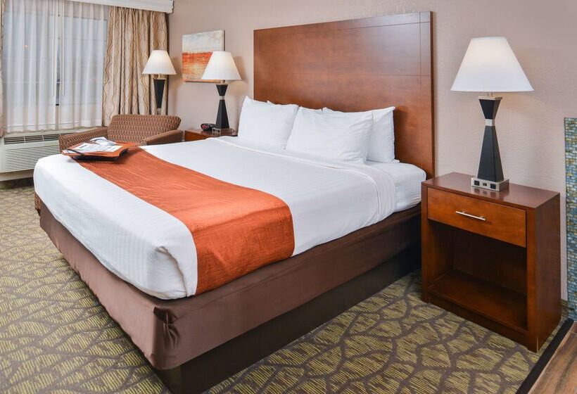 酒店 Best Western Of Hartland