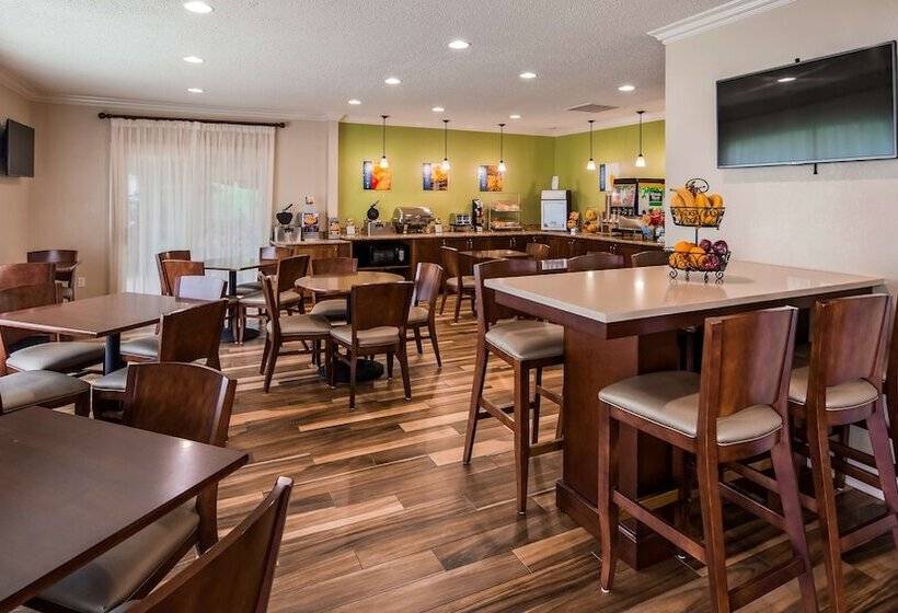 酒店 Best Western Of Hartland