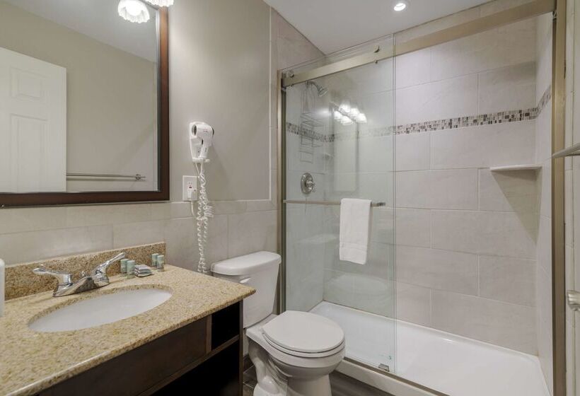 酒店 Best Western Of Lake George