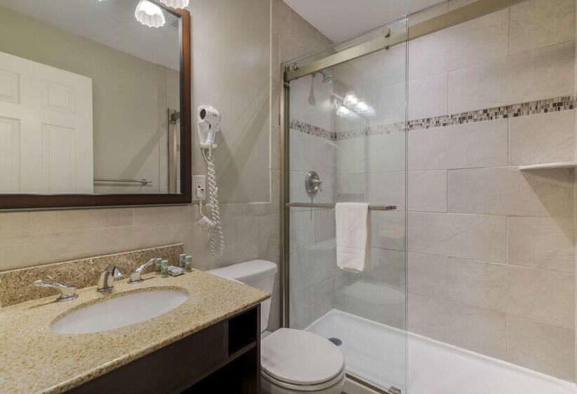 酒店 Best Western Of Lake George