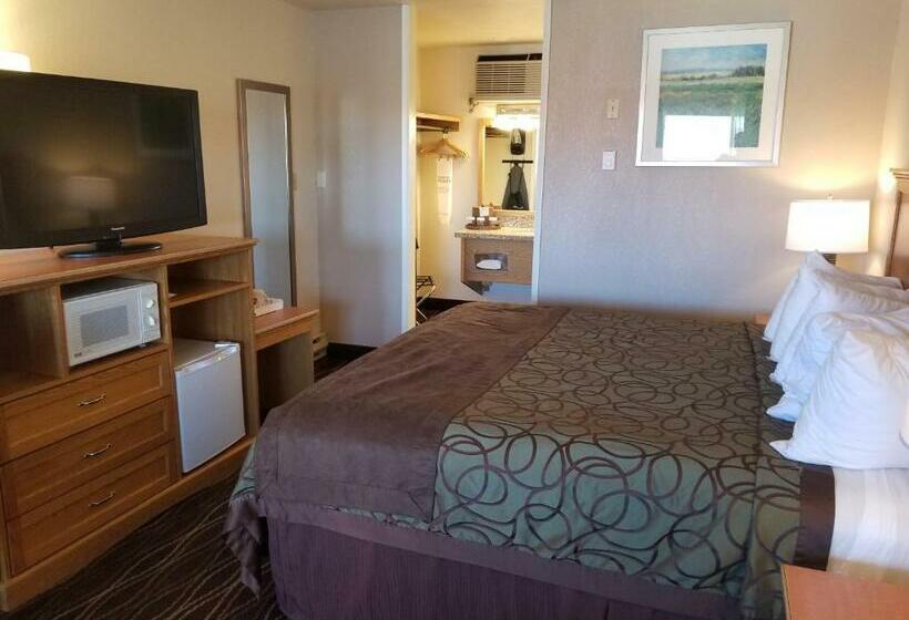 酒店 Best Western Pacific Highway Inn