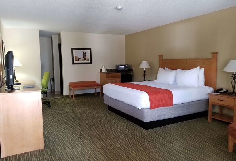 فندق Best Western Paint Pony Lodge