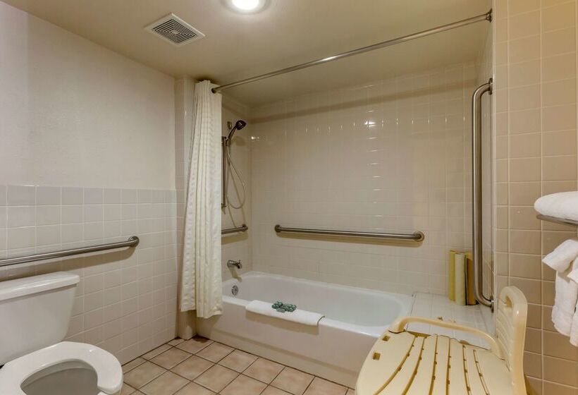 فندق Best Western Paint Pony Lodge