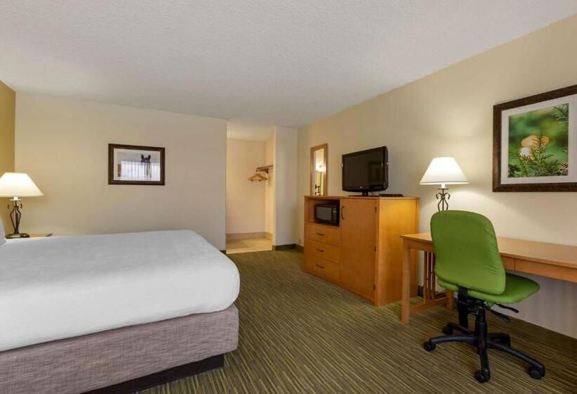 فندق Best Western Paint Pony Lodge