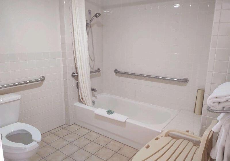 فندق Best Western Paint Pony Lodge