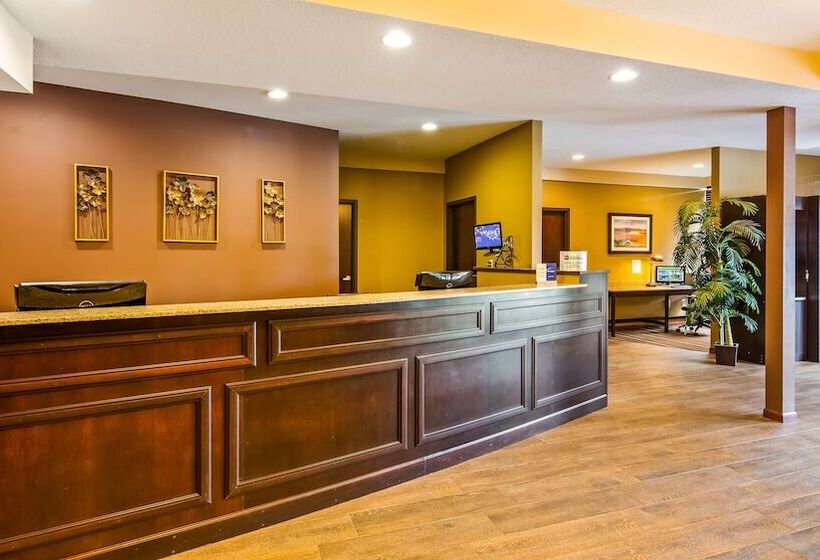 Отель Best Western Paradise Inn