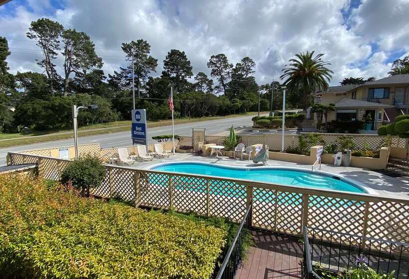 فندق Best Western Park Crest Inn