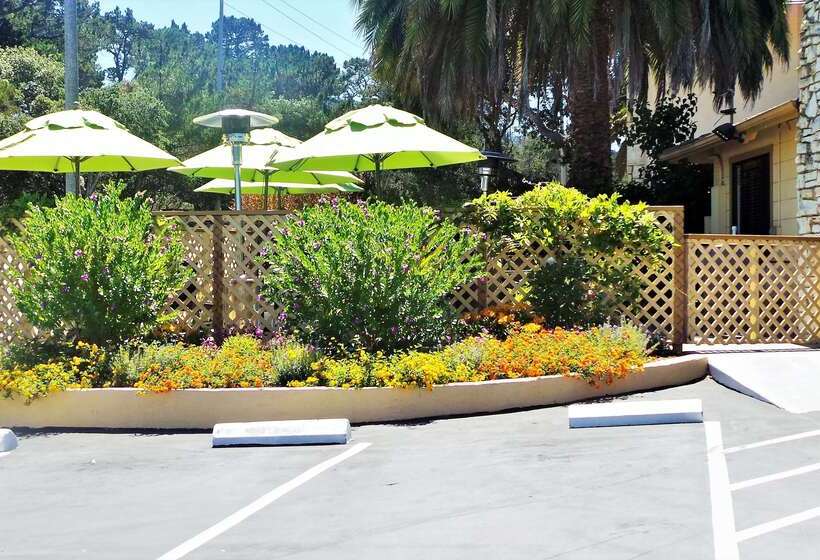 ホテル Best Western Park Crest Inn