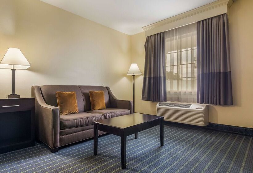 فندق Best Western Parkside Inn