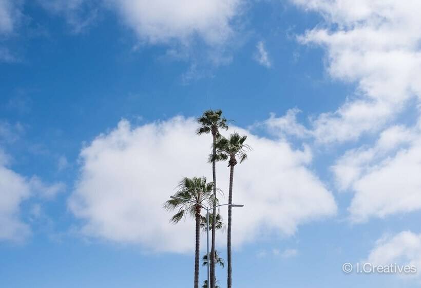 בית מלון כפרי Best Western Plus Bayside Inn