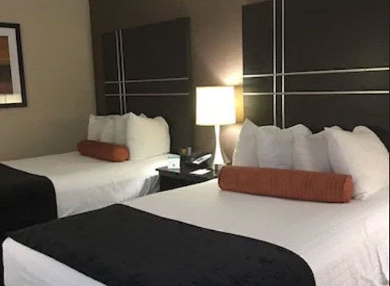 Best Western Plus Bwi Airport Hotel   Arundel Mills