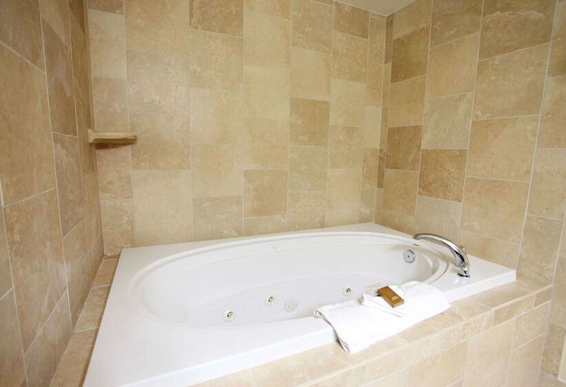 호텔 Best Western Plus Cottontree Inn