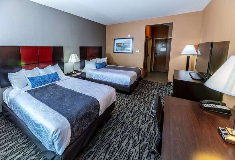 酒店 Best Western Plus Denton Inn & Suites