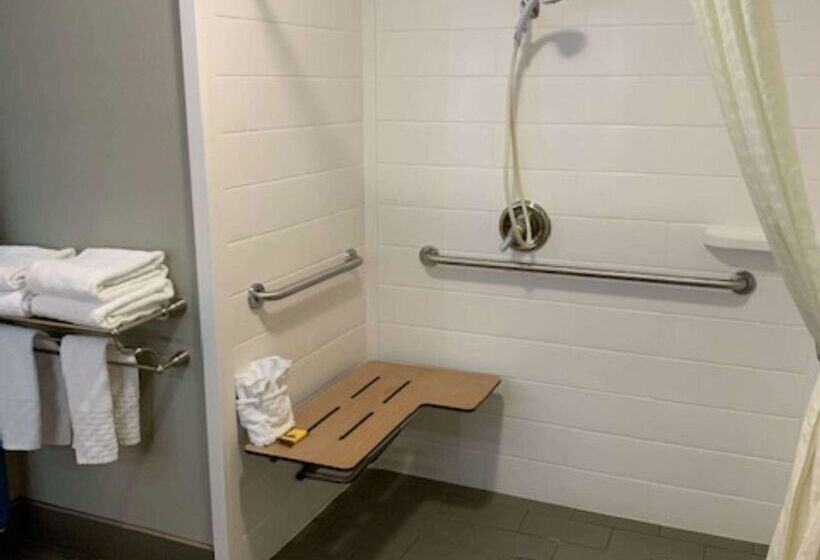 酒店 Best Western Plus Denton Inn & Suites