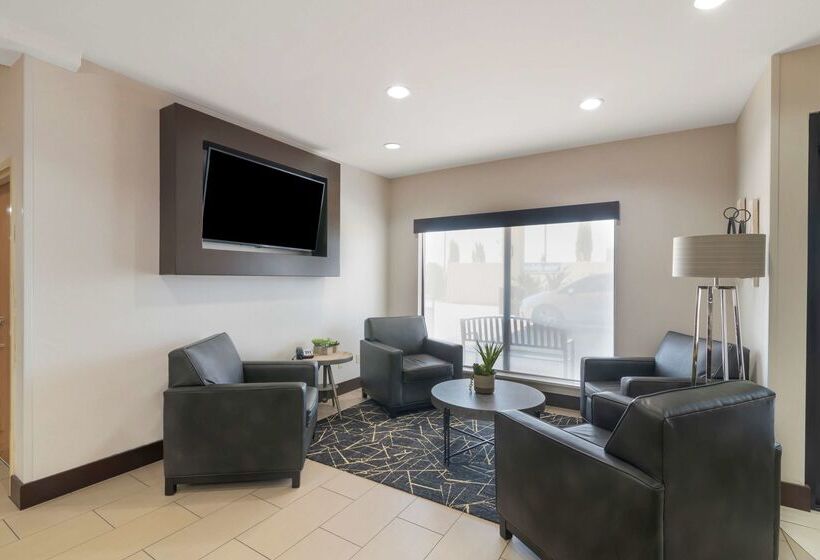 酒店 Best Western Plus Denton Inn & Suites