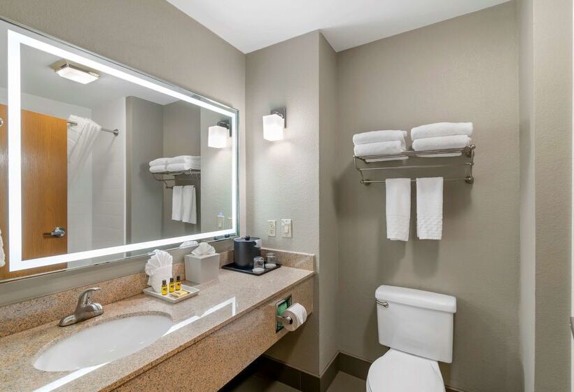 酒店 Best Western Plus Denton Inn & Suites