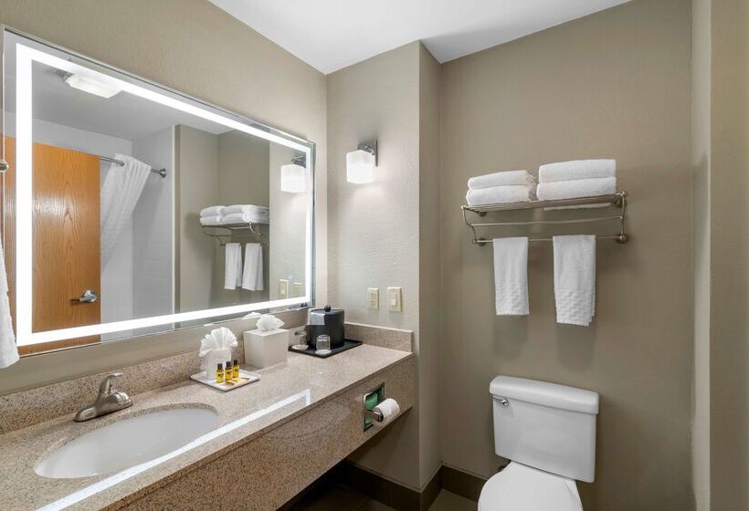 בית מלון כפרי Best Western Plus Denton Inn & Suites