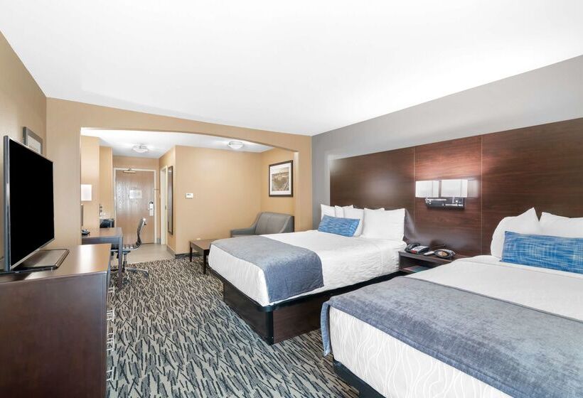 酒店 Best Western Plus Denton Inn & Suites