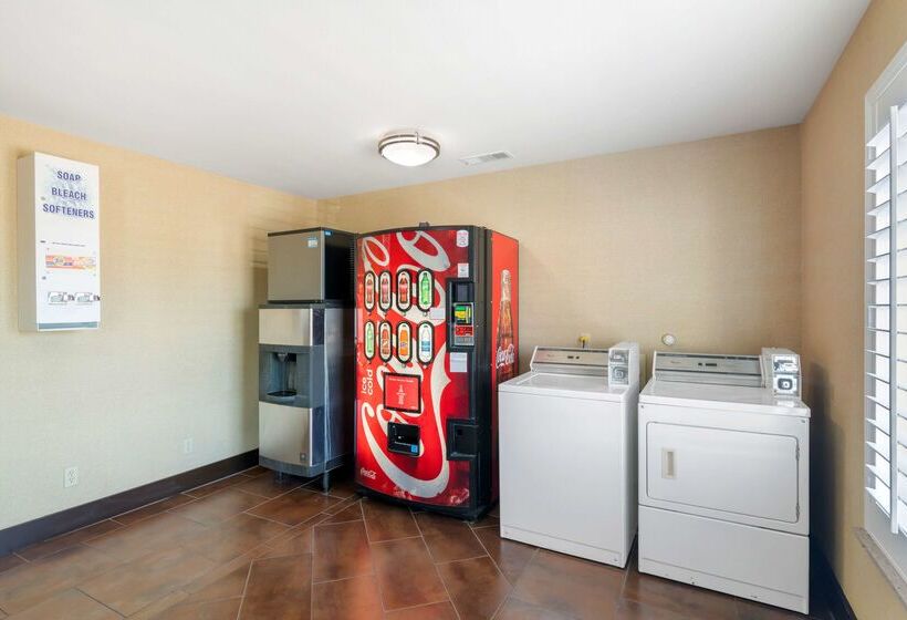 酒店 Best Western Plus Denton Inn & Suites