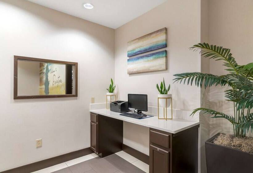 酒店 Best Western Plus Denton Inn & Suites