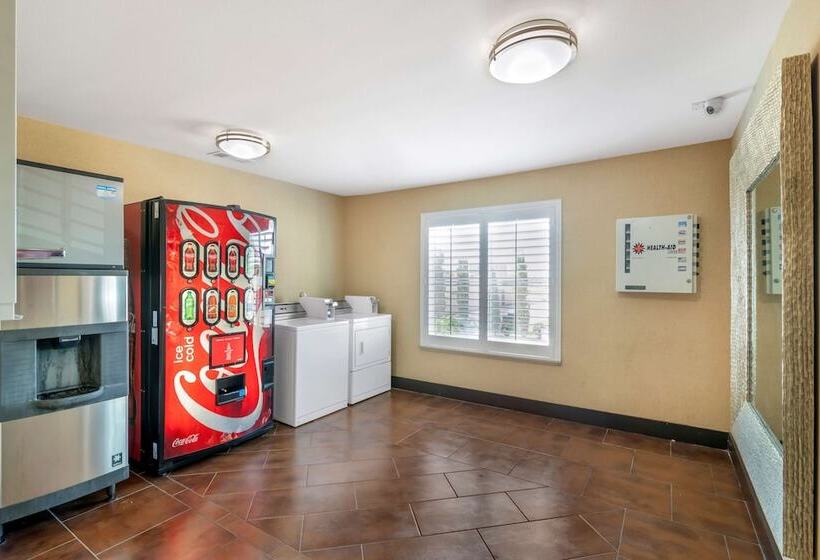 酒店 Best Western Plus Denton Inn & Suites