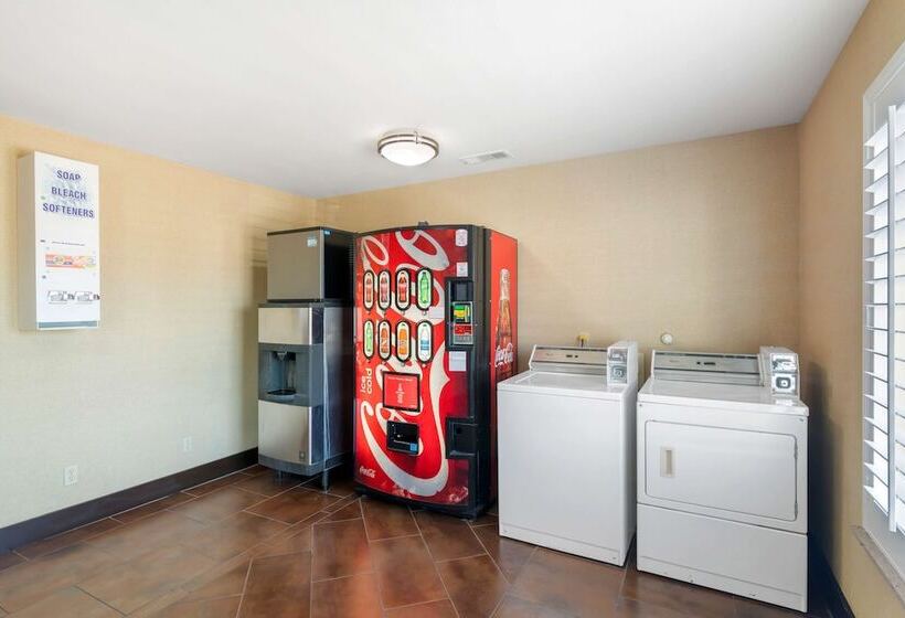 酒店 Best Western Plus Denton Inn & Suites