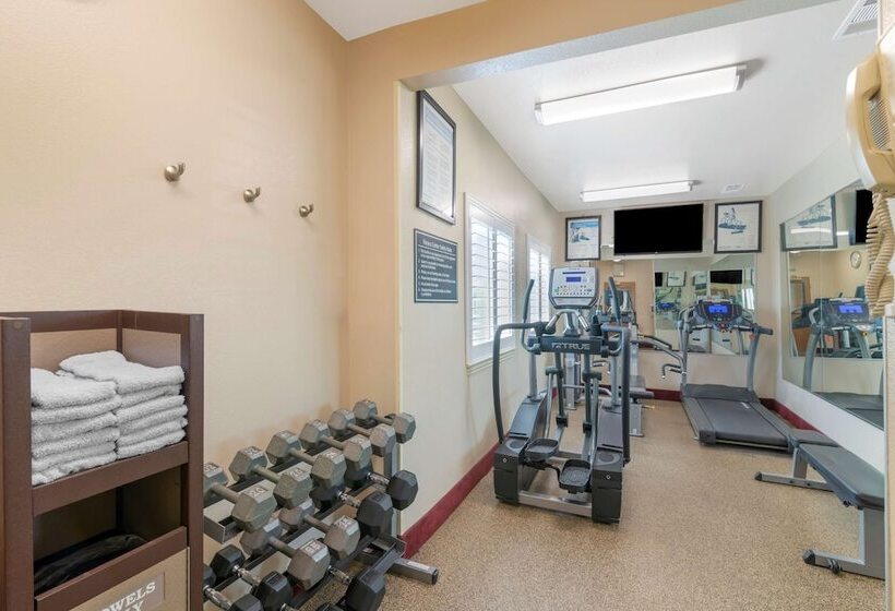 酒店 Best Western Plus Denton Inn & Suites