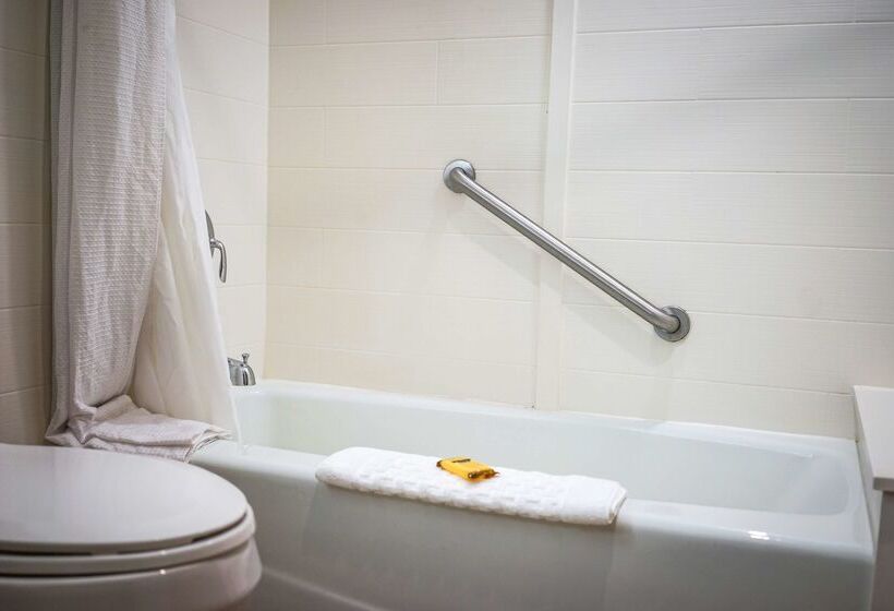 Best Western Plus Dubuque Hotel And Conference Center