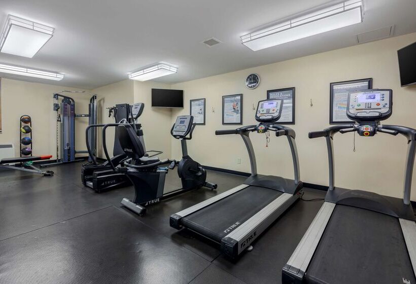 Best Western Plus Dubuque Hotel And Conference Center