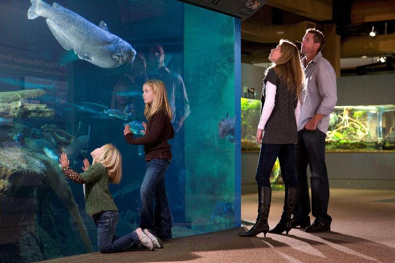 Best Western Plus Dubuque Hotel And Conference Center