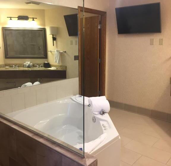 Best Western Plus Dubuque Hotel And Conference Center