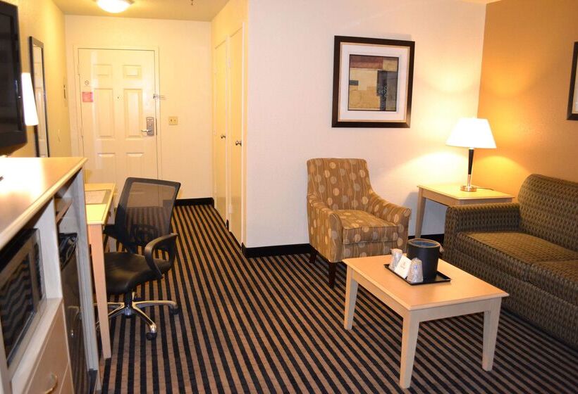 فندق Best Western Plus Executive Inn & Suites