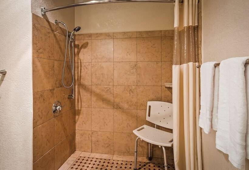 فندق Best Western Plus Executive Inn & Suites