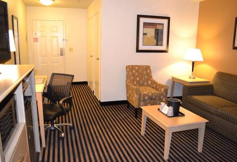 هتل Best Western Plus Executive Inn & Suites