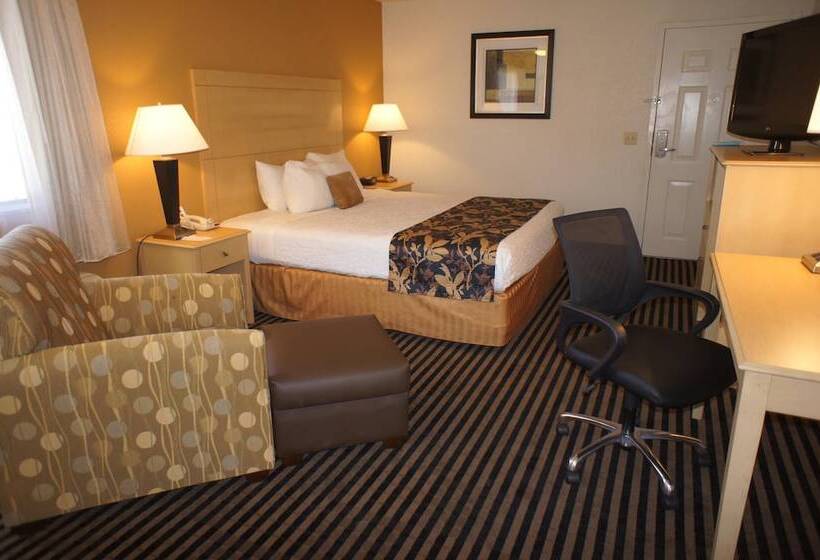 فندق Best Western Plus Executive Inn & Suites
