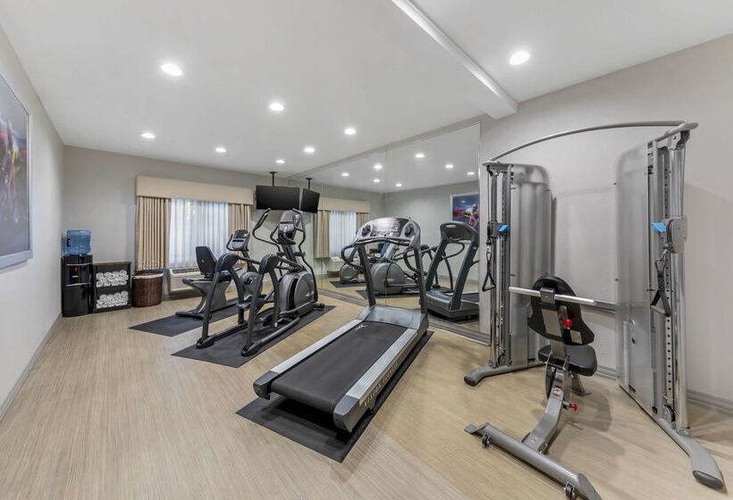 ホテル Best Western Plus Executive Inn