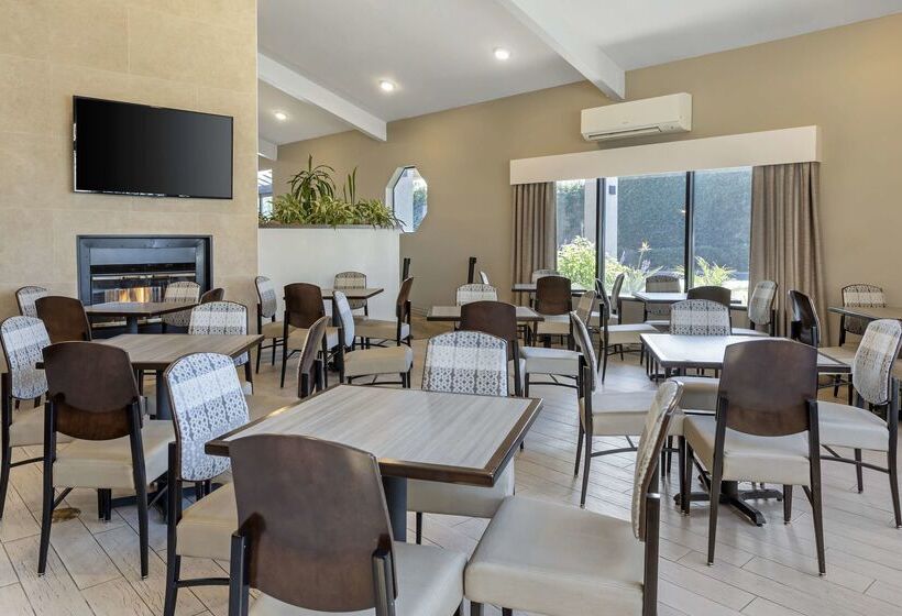 ホテル Best Western Plus Executive Inn