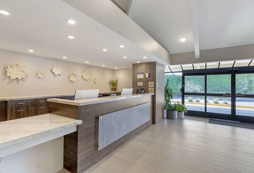 ホテル Best Western Plus Executive Inn