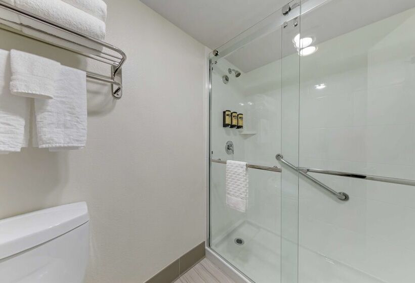 ホテル Best Western Plus Executive Inn